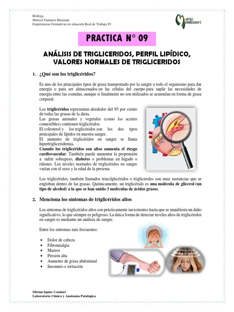 Practica #09 | Descargar Gratis PDF | Triglicéridos | Lípido