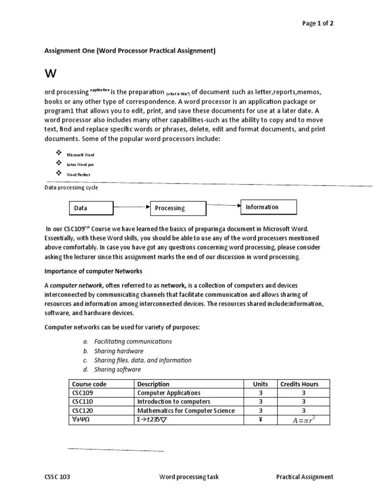 Computer Assignment | PDF | Central Processing Unit | Word Processor