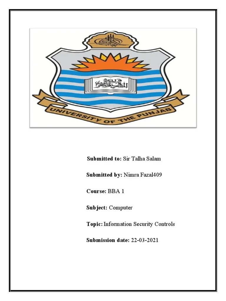 Information Security Controls | PDF