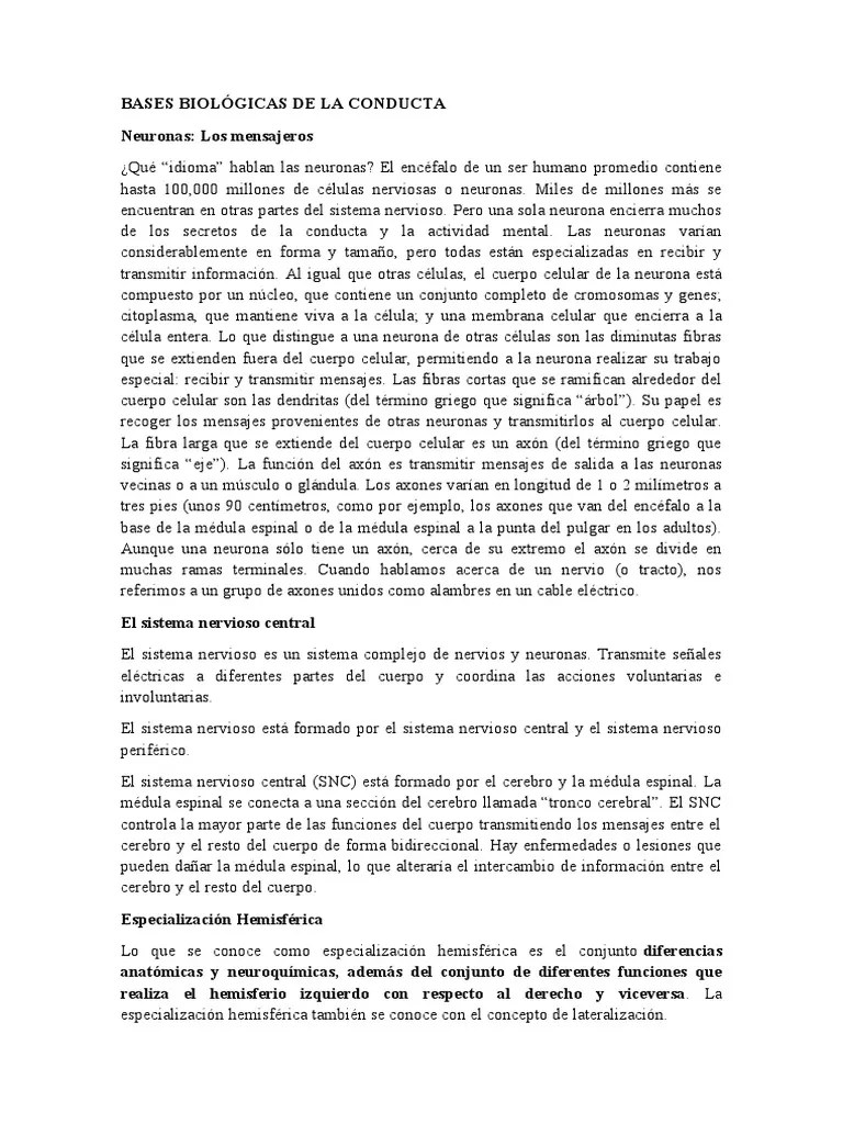 Bases Biológicas De La Conducta | PDF | Neurona | Sistema Nervioso