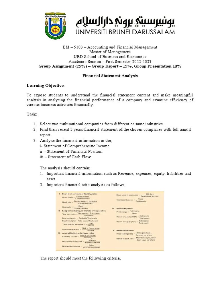 Group Assignment - Financial Statement Analysis | PDF