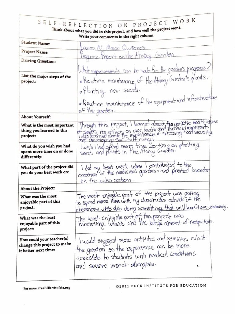 Self Reflection | PDF