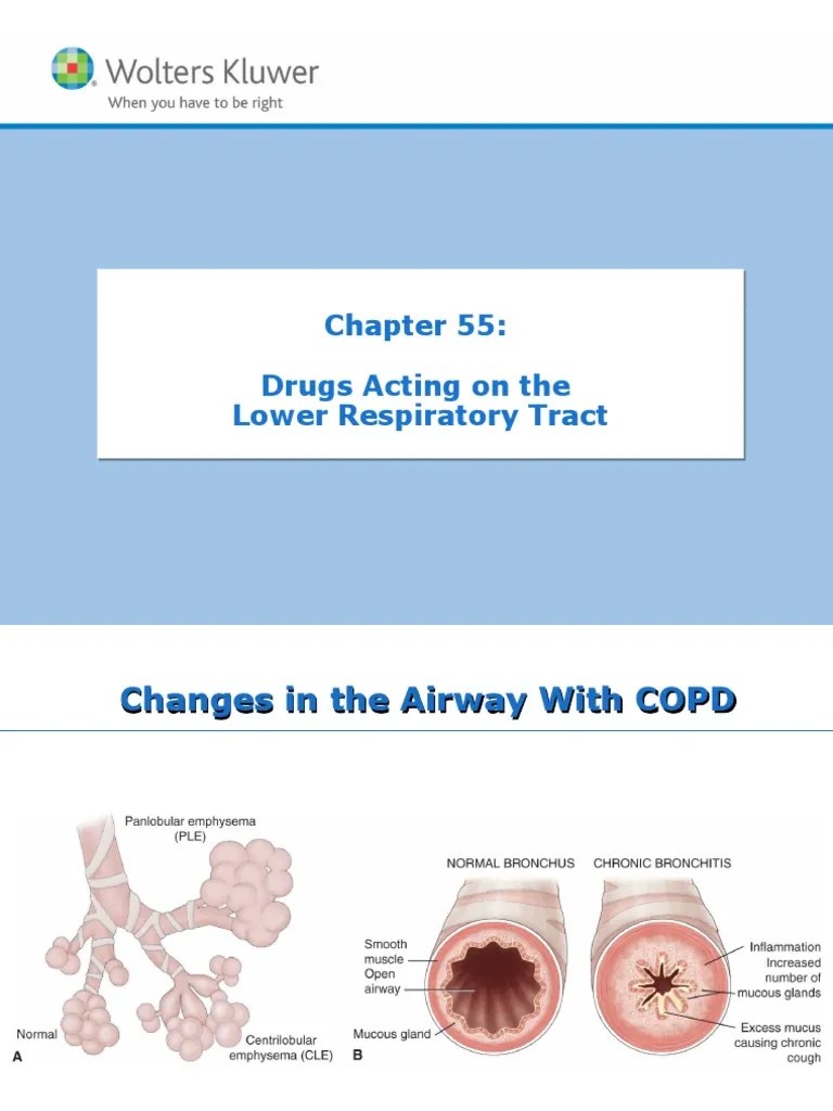 Chapter 55 Drugs Acting On The Lower Respiratory Tract | PDF ...
