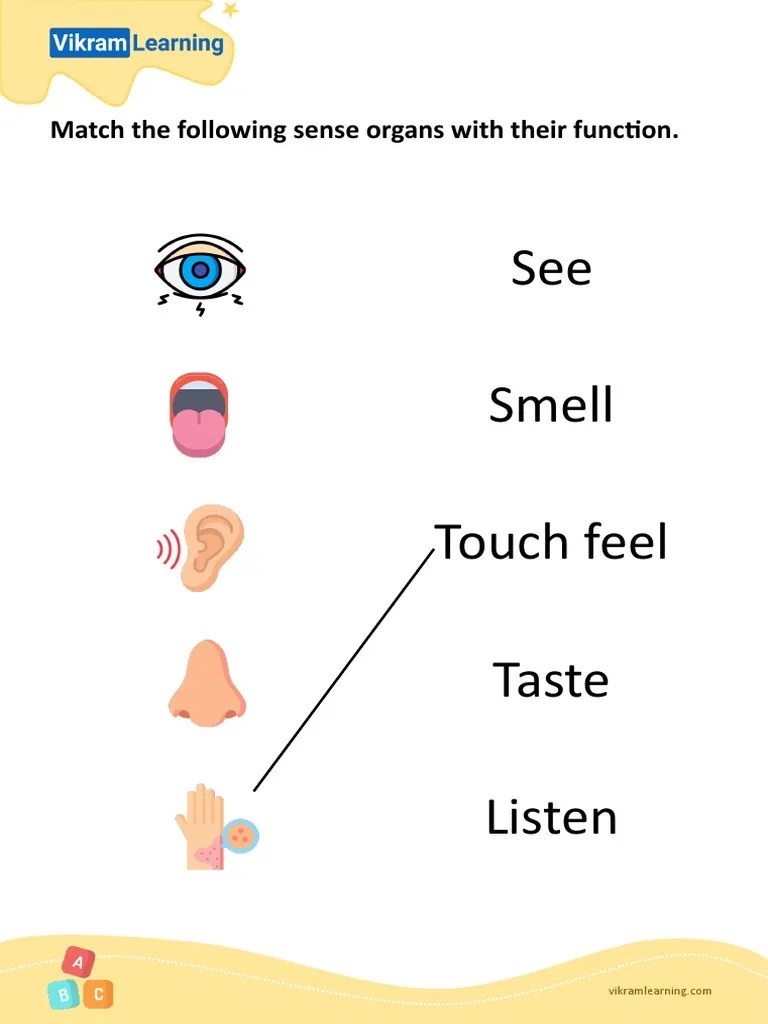 Kindergarten worksheet