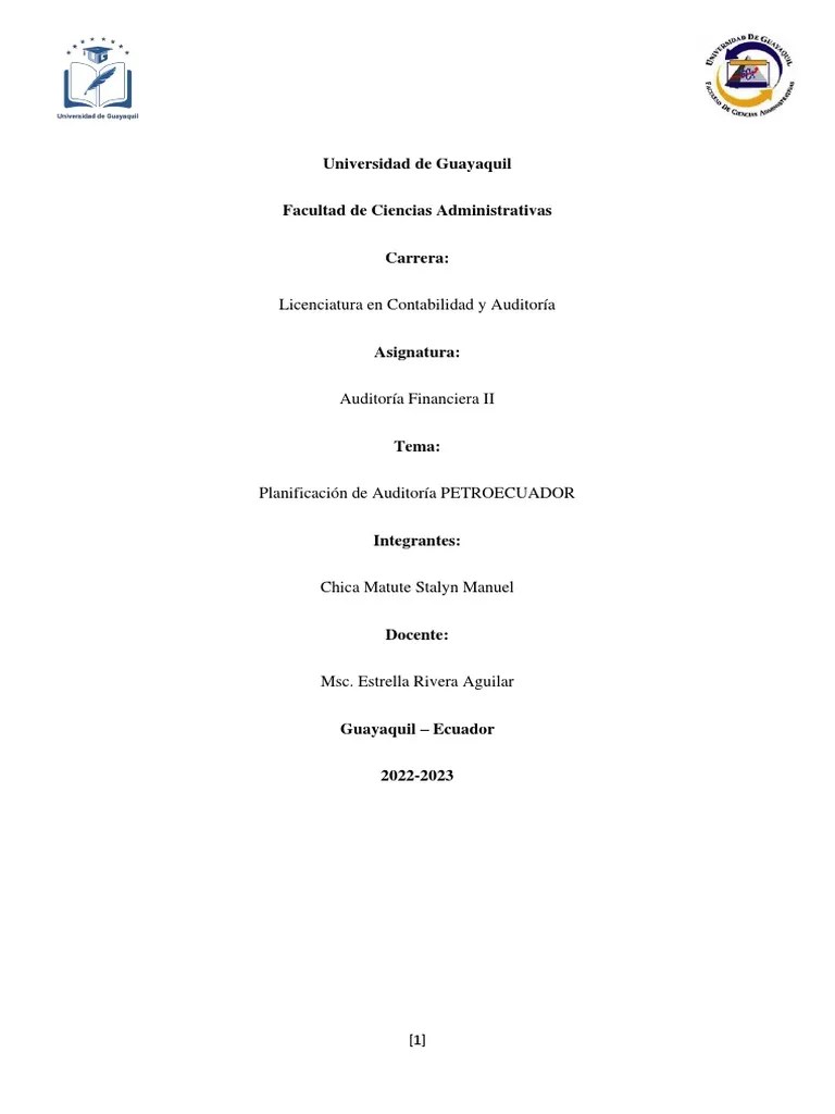 Planificación De Auditoría | PDF | Auditoría | Business