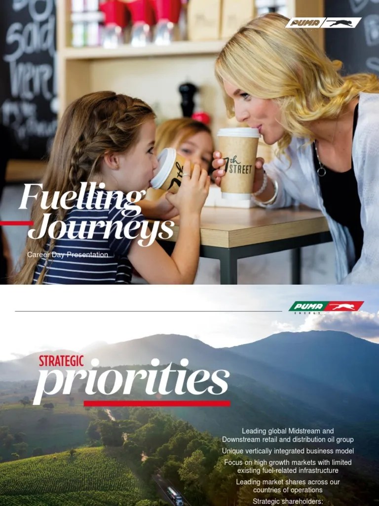 Puma Energy | PDF | Economies | Petroleum