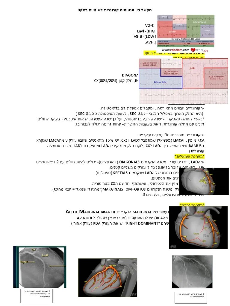 Ecg - Ecg Changes And Omi | PDF