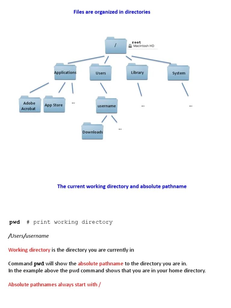 Lecture 3 Part1 | PDF | User (Computing) | Directory (Computing)