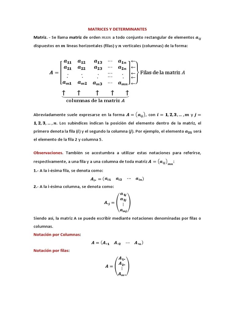 1° Matrices Y Determinantes | PDF | Matriz (Matemáticas) | Determinante