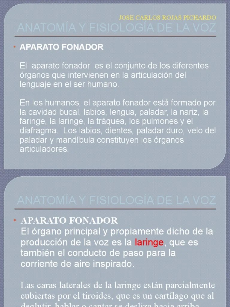 Tema 1 PP Anatomía Y Fisiología De La Voz | PDF | Laringe | Articulación