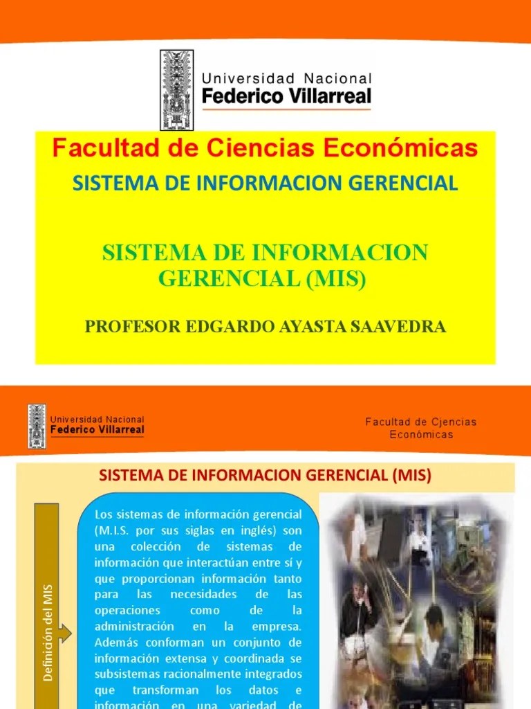 Sistema De Informacion Gerencial | PDF | Planificación | Software