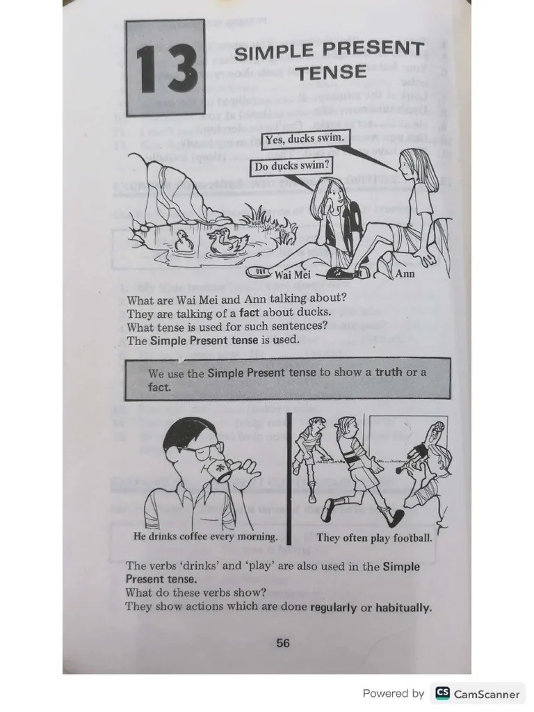 Materi Simple Present Tense Pdf - Download Modern Nature Pattern | Full HD