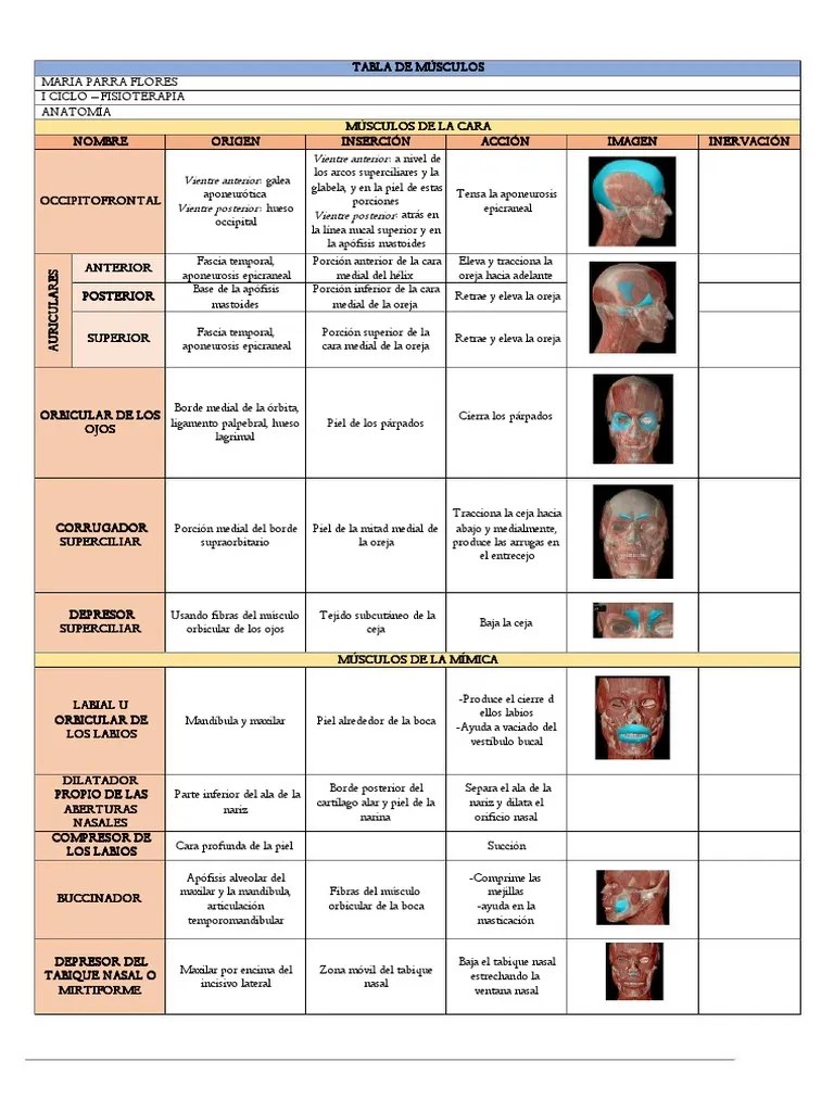 Tabla De Musculos Origen Insercion Accion E Imagen Compress | PDF