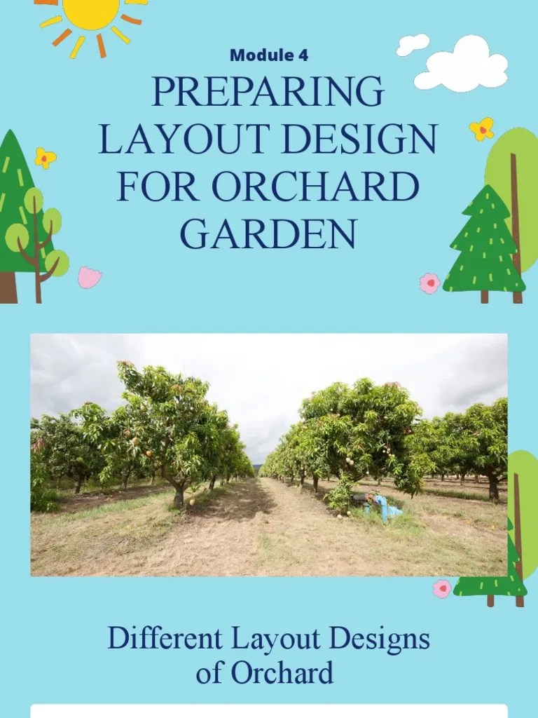 Module 4 Preparing Layout Design For Orchard | PDF | Rectangle | Orchard