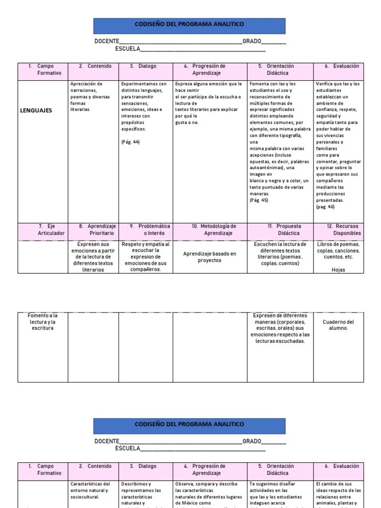 2° Codiseño Del Programa Analitico | PDF | Aprendizaje | Evaluación