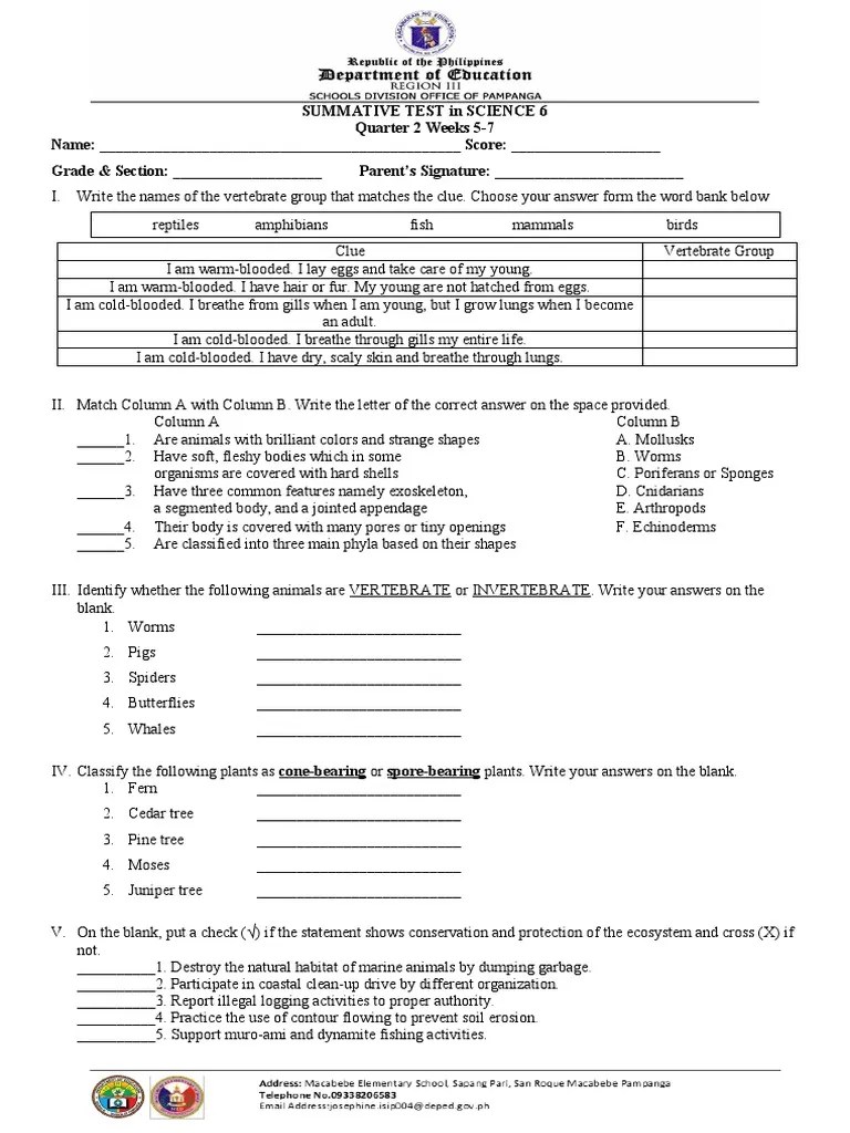Summative Test In Science 6 Q2 W5-7 | PDF