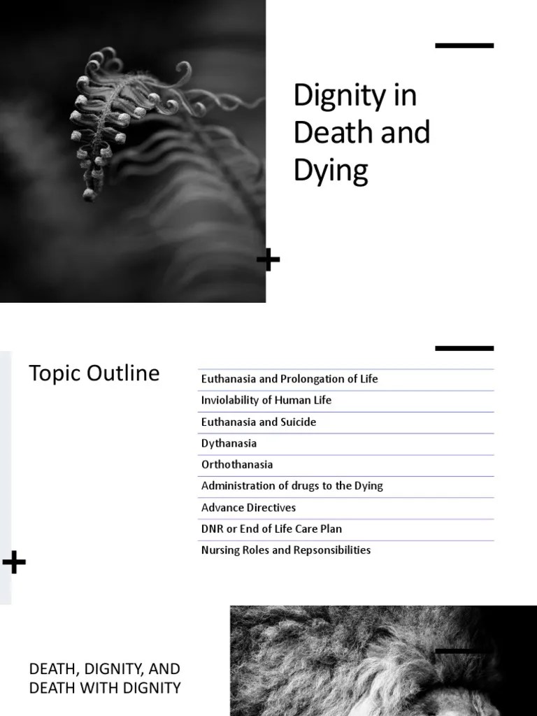 Dignity In Death And Dying | PDF | Medical Ethics | Palliative Care