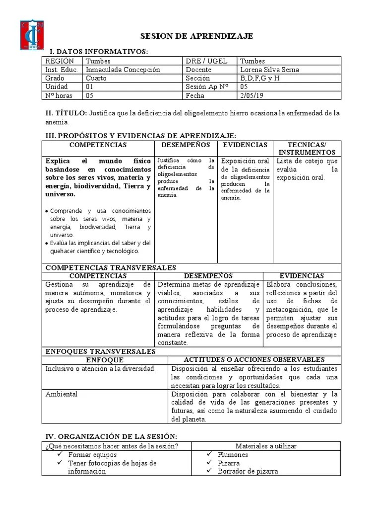 Sesion De Aprendizaje | PDF | Aprendizaje | Evaluación