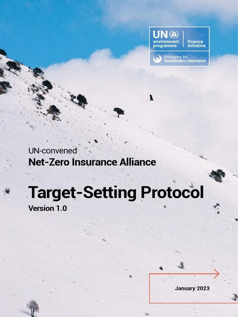 NZIA Target Setting Protocol Version 1.0 | Download Free PDF ...