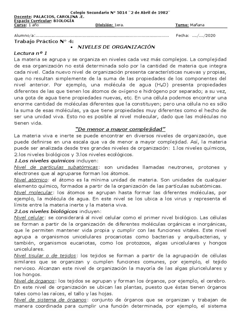 Niveles De Organizaciòn | Descargar Gratis PDF | Organismos | Importar