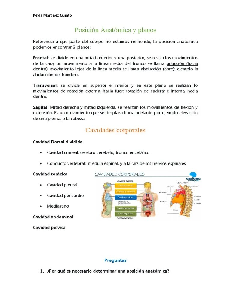 Posición Anatómica, Planos Y Cavidades Corporales | PDF