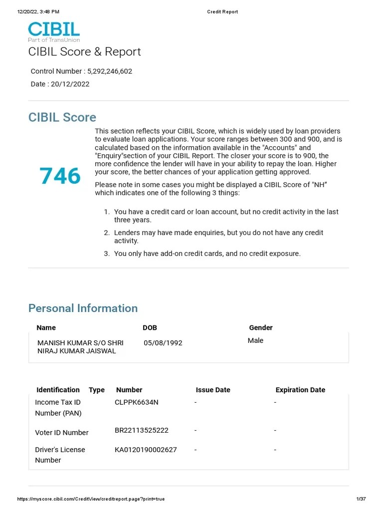 Credit Report | Download Free PDF | Finance & Money Management | Credit