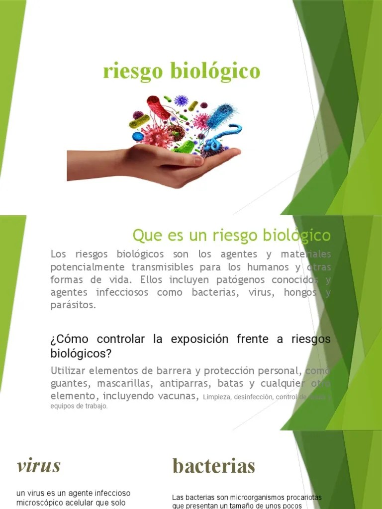 Riesgo Biologico | PDF | Virus | Las Bacterias