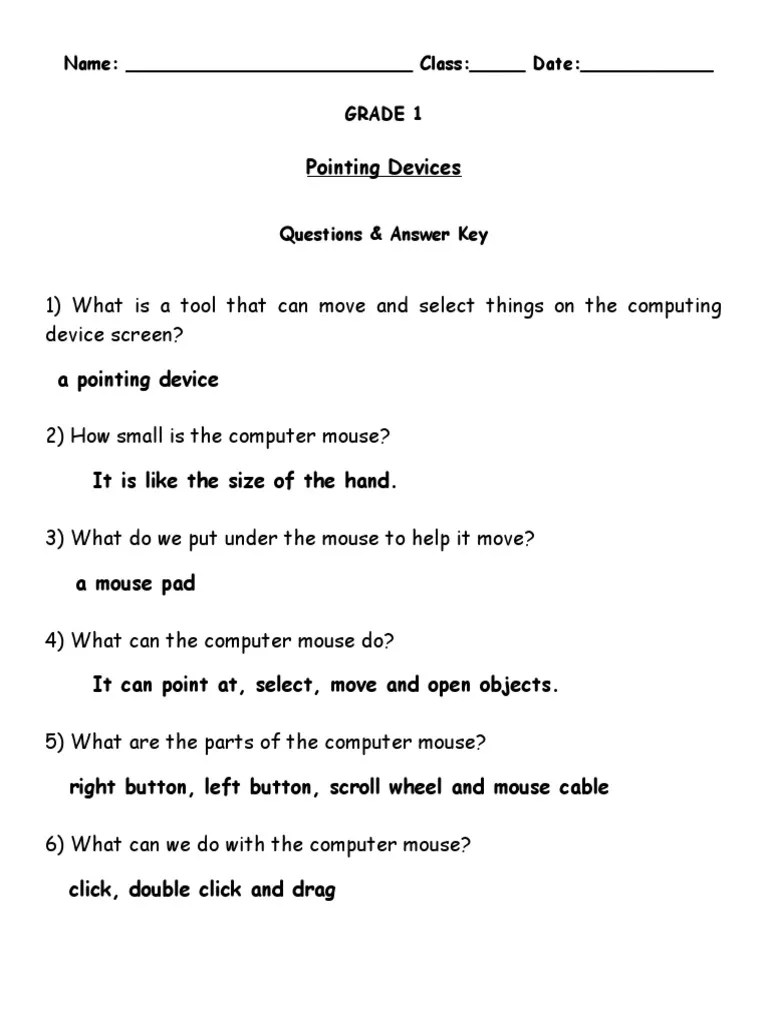 Grade 1 Computer Pointing Devices | PDF | Games & Activities | Computers