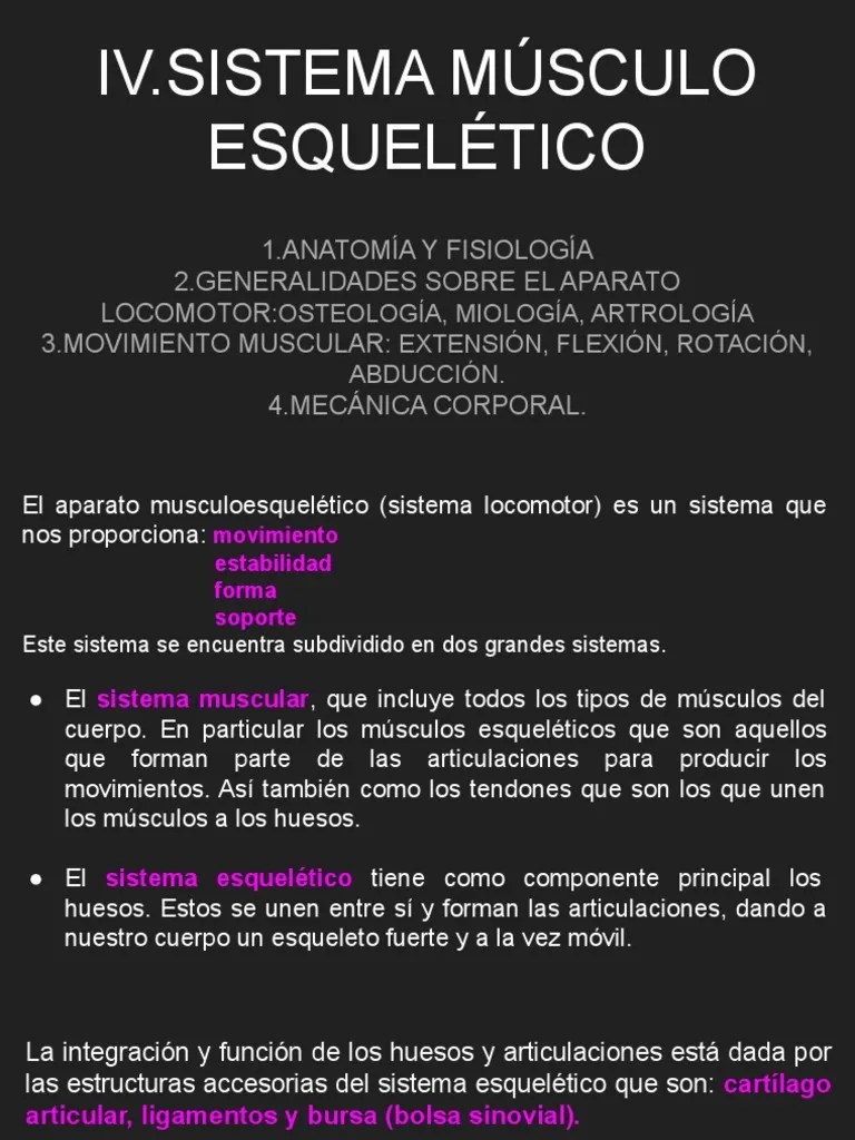 Sistema Musculo Esqueletico | PDF | Articulación | Músculo Esquelético
