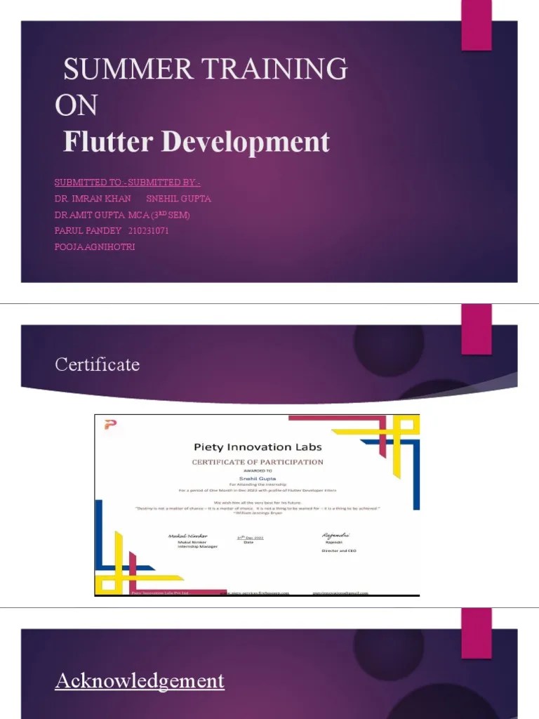 Summer Training | PDF | Web Application | Software Engineering