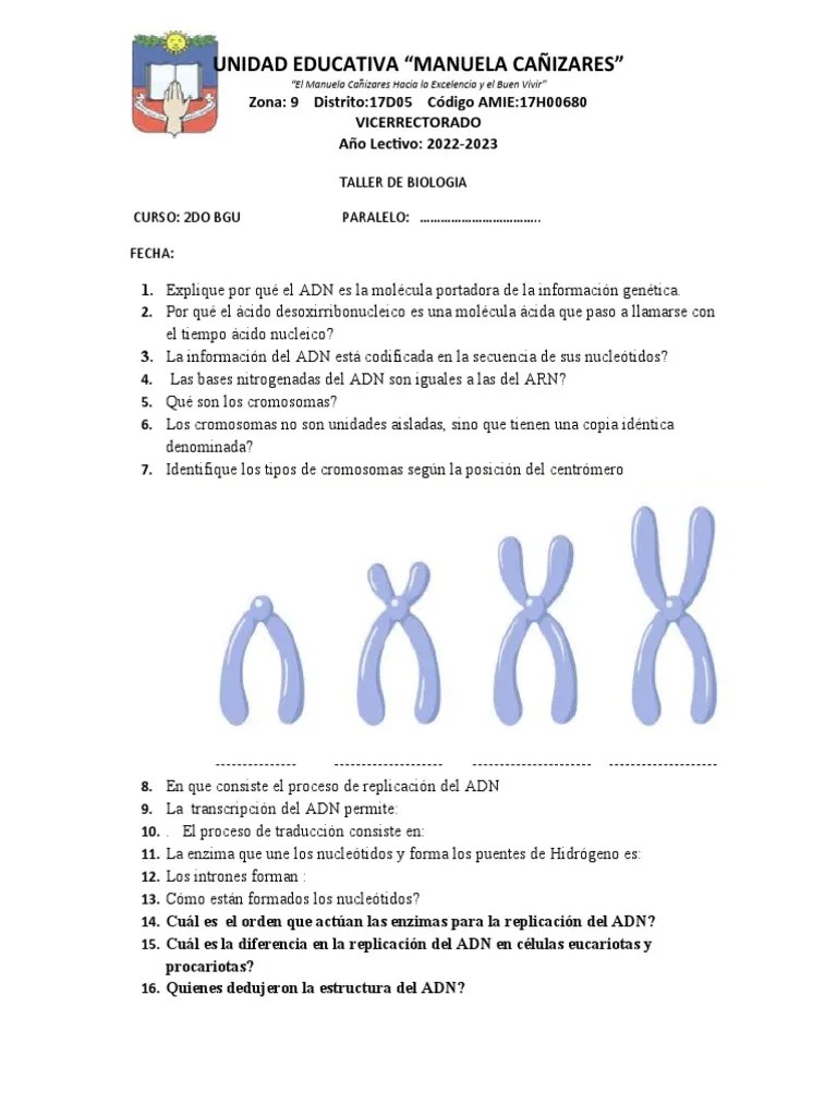 Taller De Biologia 23 | PDF