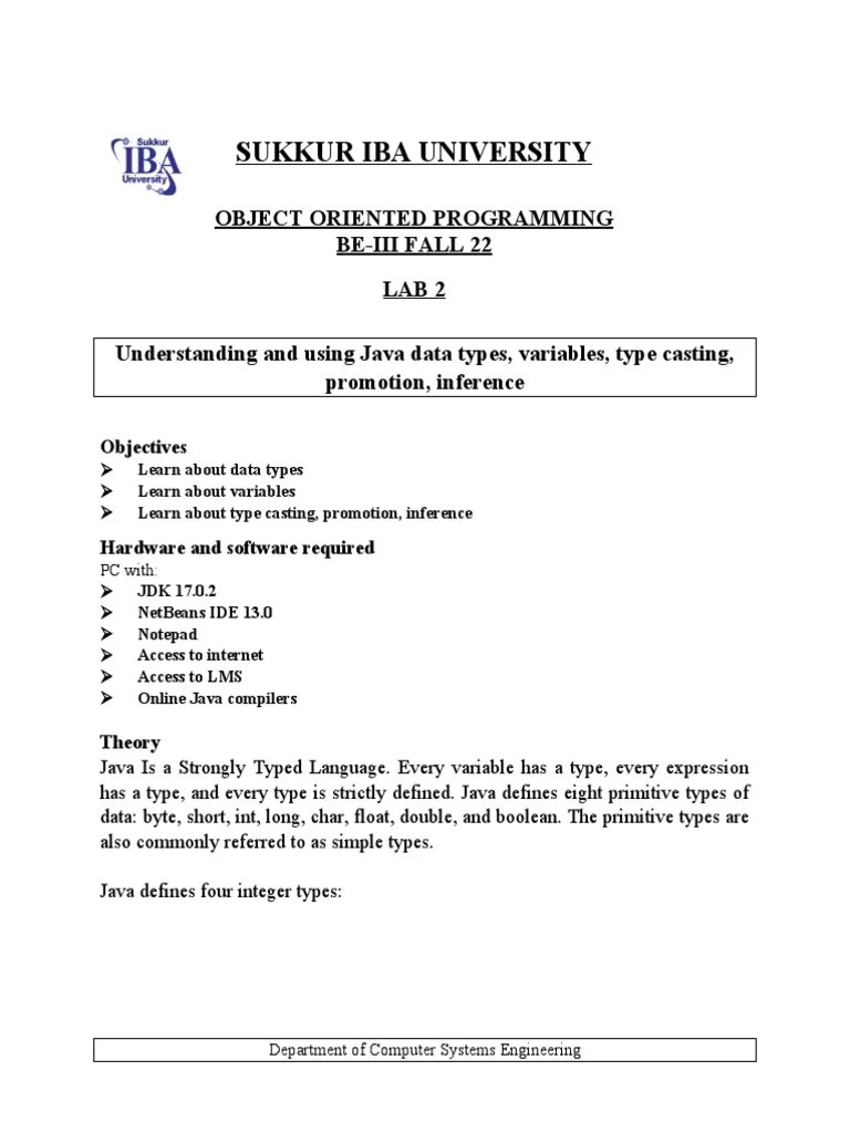Sukkur IBA University OOP Lab 2 Data Types Variables Casting | PDF ...