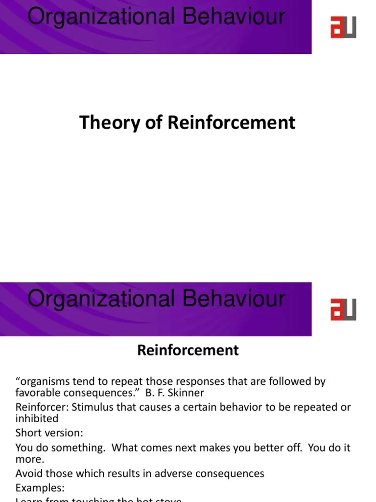 9 Reinforcement Theory | PDF | Reinforcement | Behavior