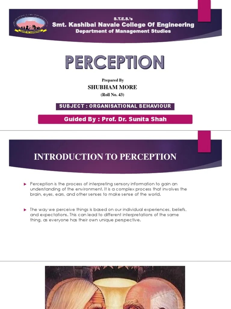 Perception - Organisational Behaviour | PDF | Perception | Behavior