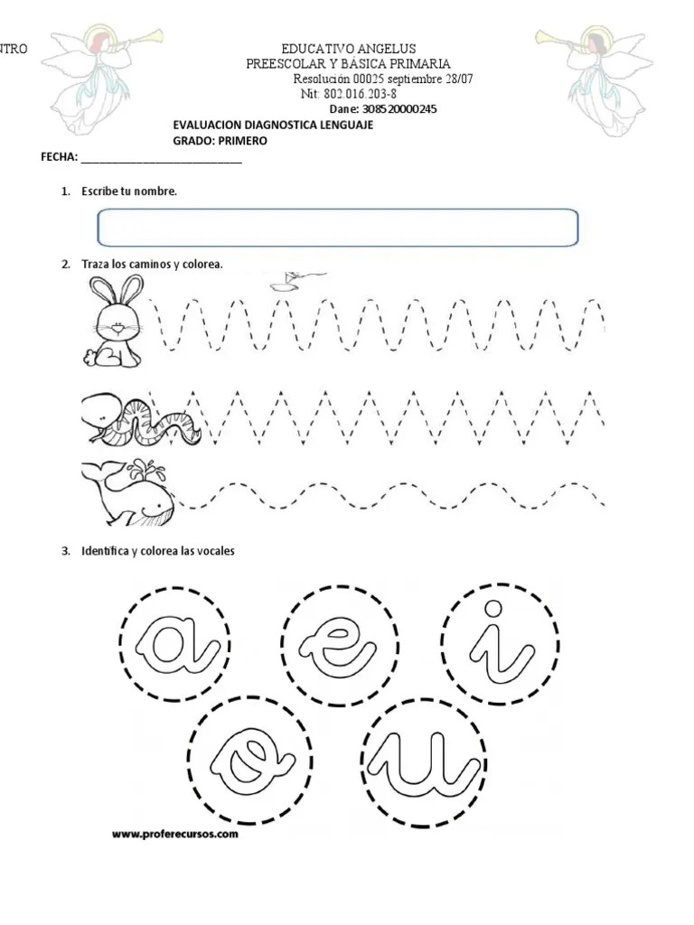 Evaluacion Diagnostica Primero | PDF | Educación De La Primera Infancia | Lingüística