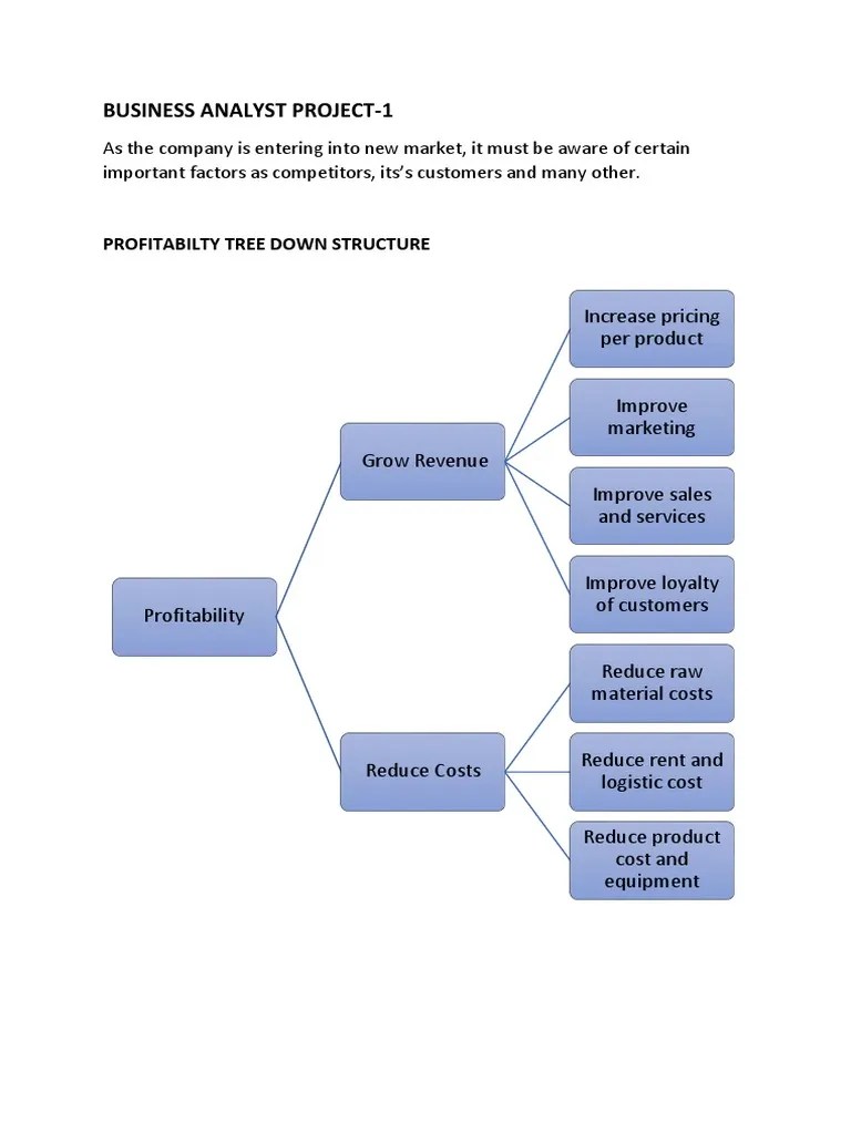 Business Analyst Project | PDF | Profit (Economics) | Market (Economics)