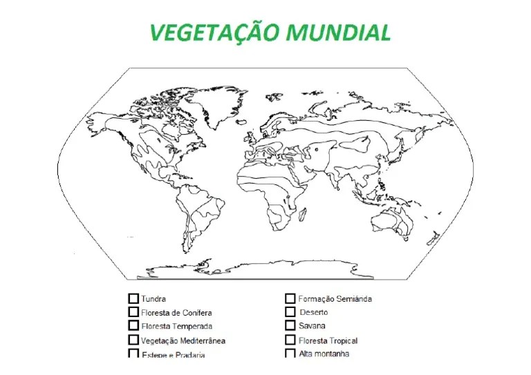 Vegetação Mundial | PDF