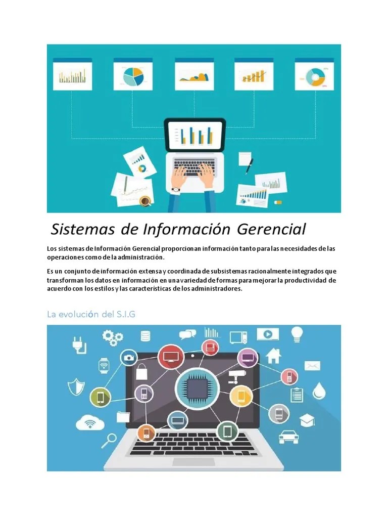 Sistemas De Información Gerencial | PDF | Sistema De Informacion ...
