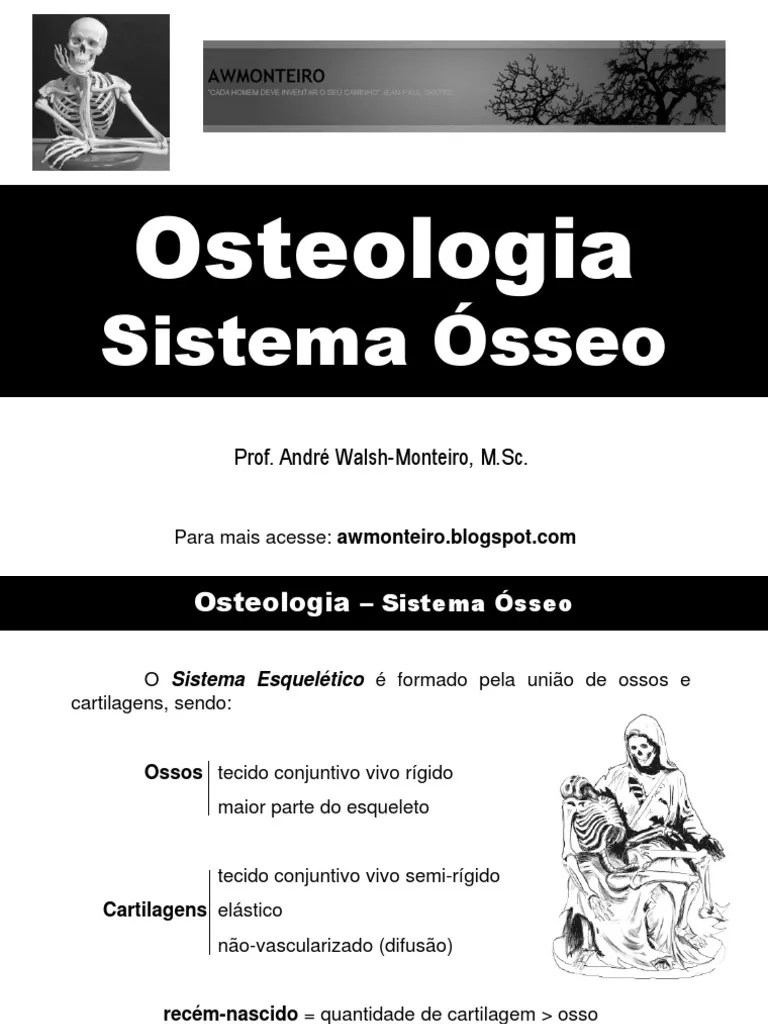 Anatomia - Osteologia, Sistema Ósseo | PDF | Esqueleto | Osso