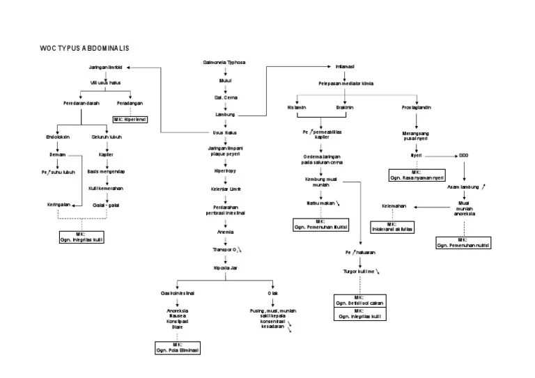 WOC - Typus Abdominal Is Juo | PDF