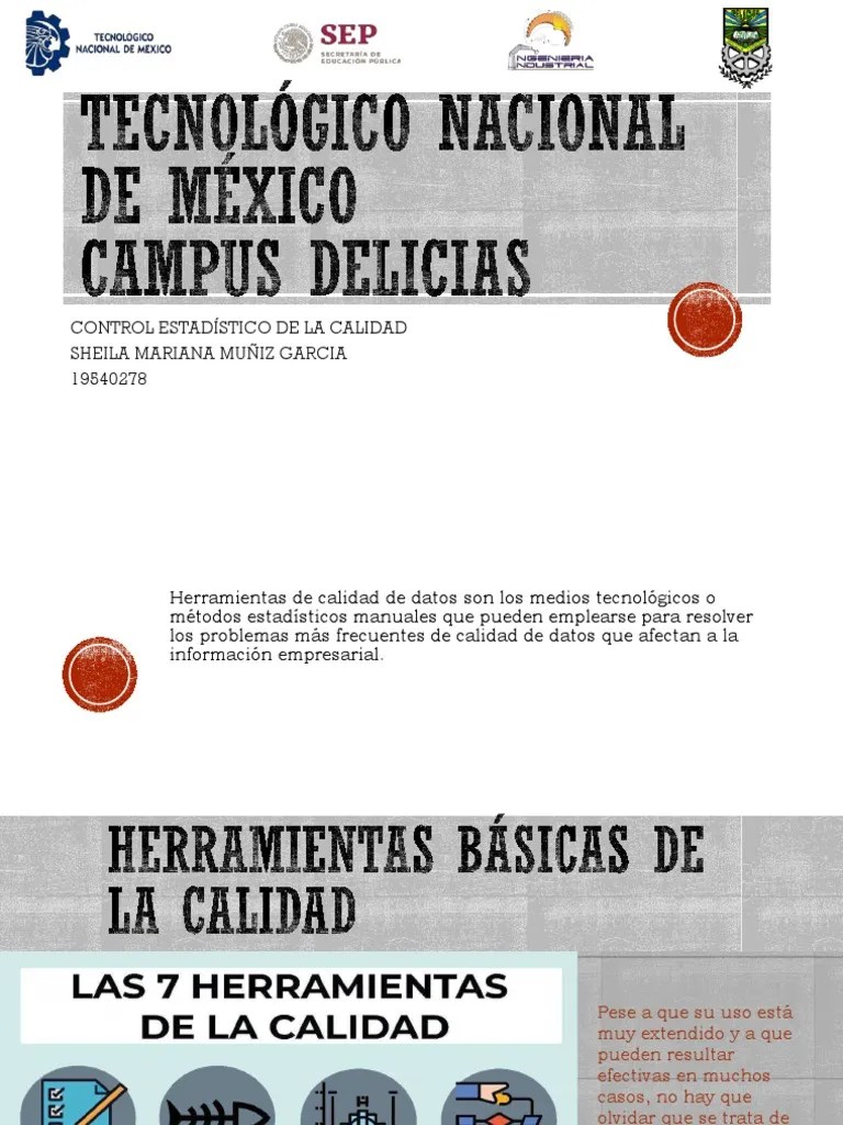 Herramientas De Calidad | PDF