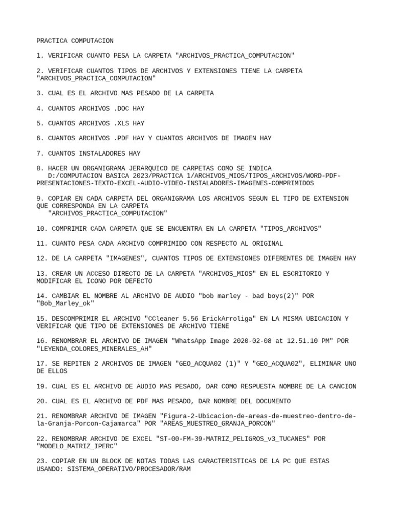 Practica Computacion - 2023 | PDF