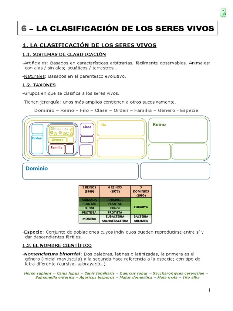 Clasificación De Seres Vivos | PDF | Hongo | Las Bacterias