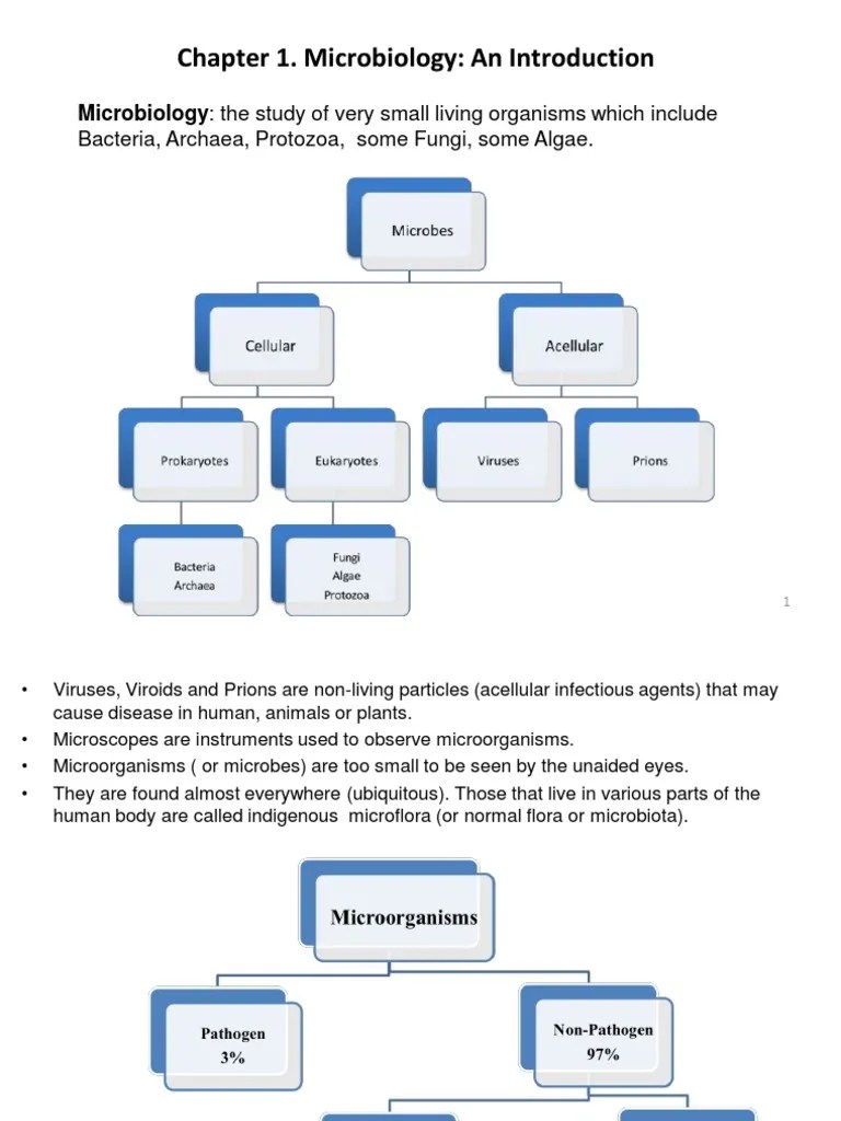 Chapter 1-Introduction - Modifiedfinal | PDF | Microorganism | Microbiology