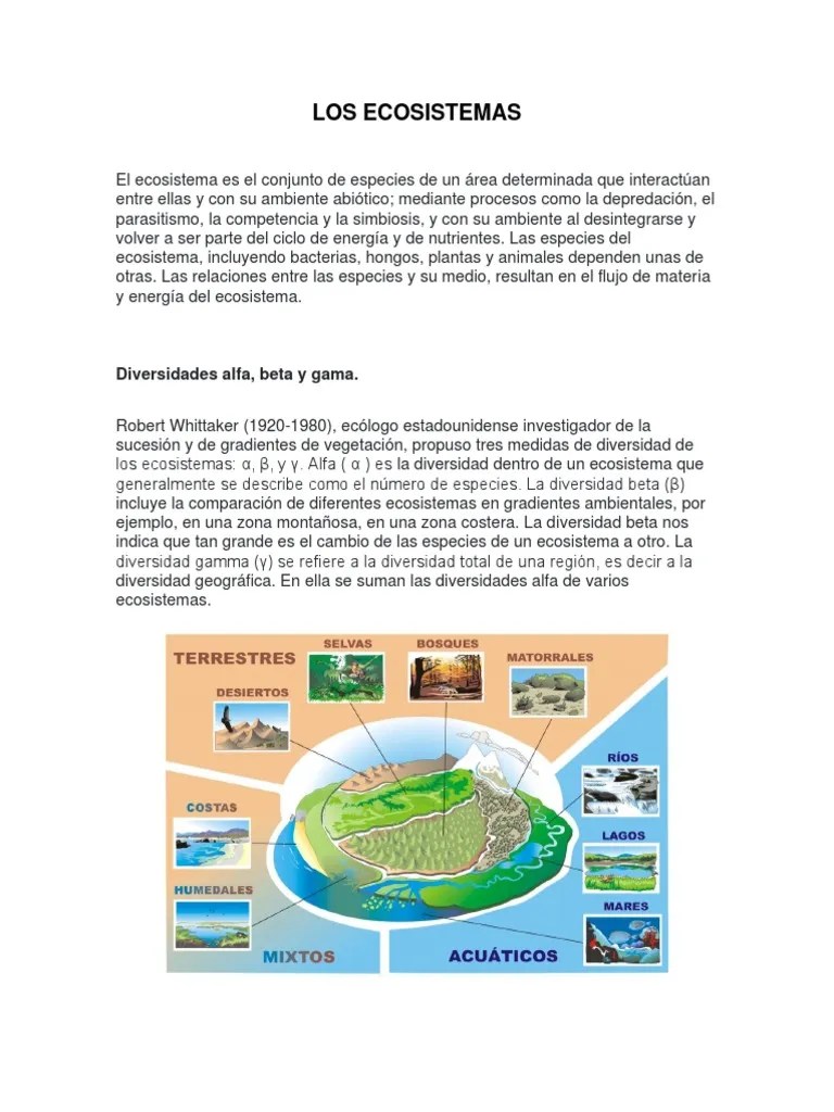 Los Ecosistemas | PDF
