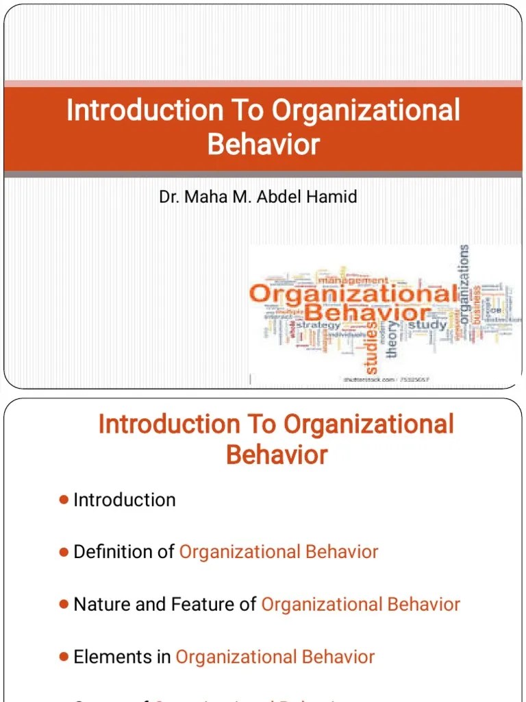 Lecture 1 Introduction To Organizational Behavior-1 | PDF ...