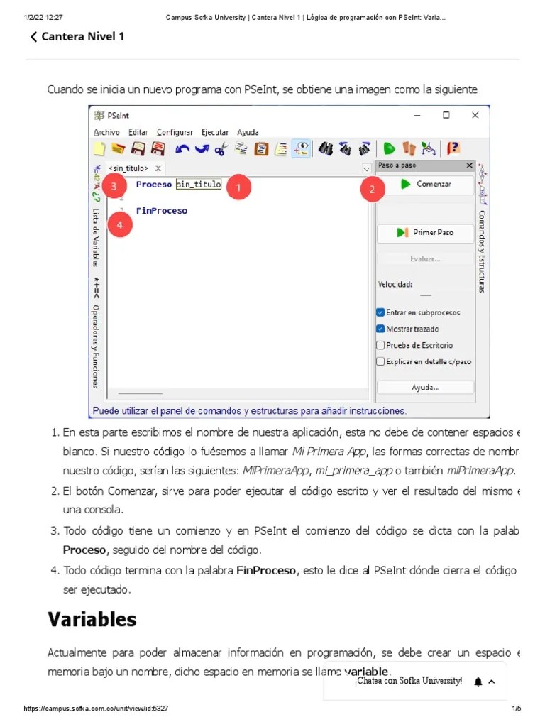 1 Lógica De Programación Con PSeInt - Variables | PDF | Variable (informática) | Informática