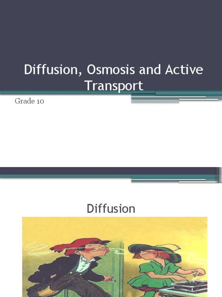 Diffusion, Osmosis And Active Transport | PDF | Osmosis | Diffusion