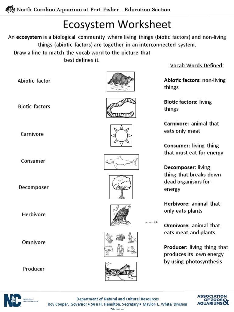 Ecosystem worksheet 2