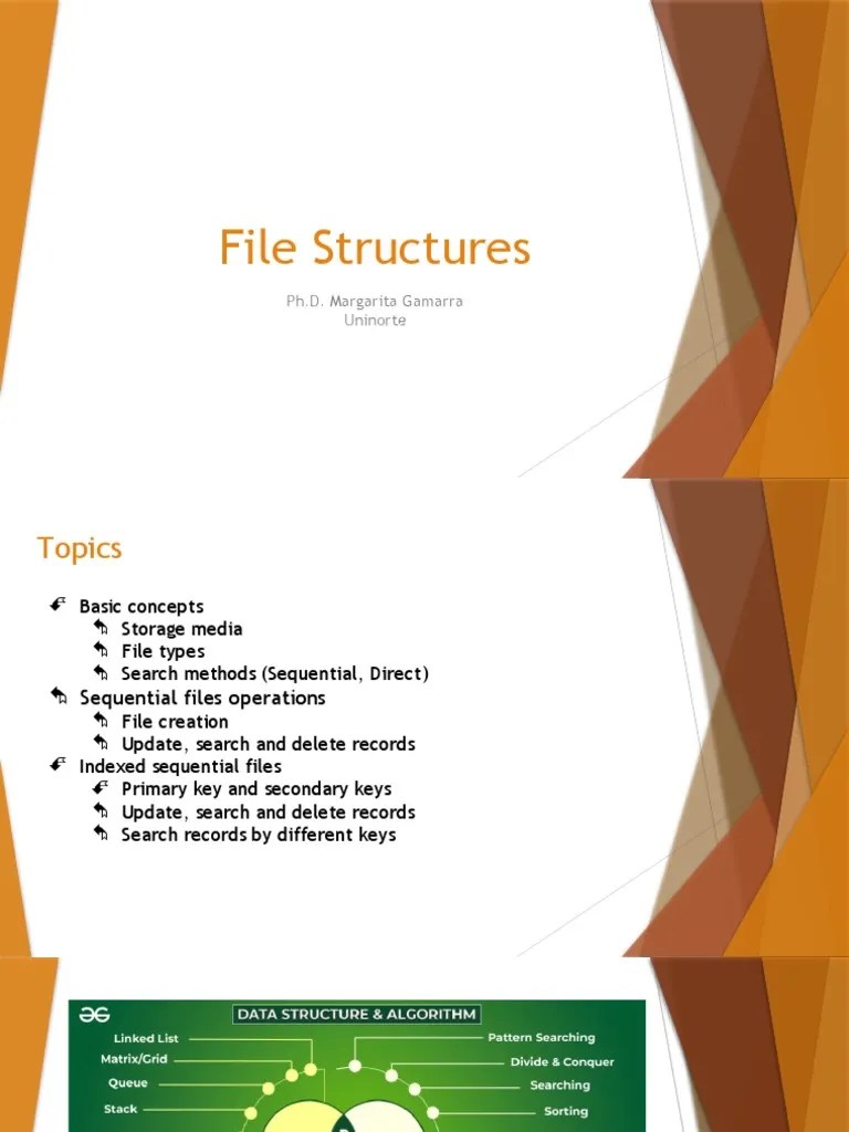 1-File Structure | PDF | Database Index | Computer Data Storage